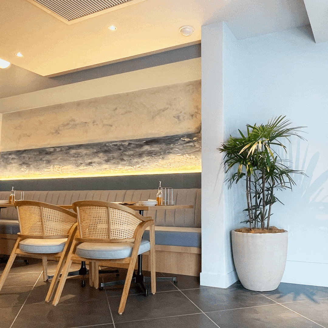 神奈川県逗子市 カフェレストラン 観葉植物レンタル シュロチク ヤシ 店舗の雰囲気に合わせてご提案