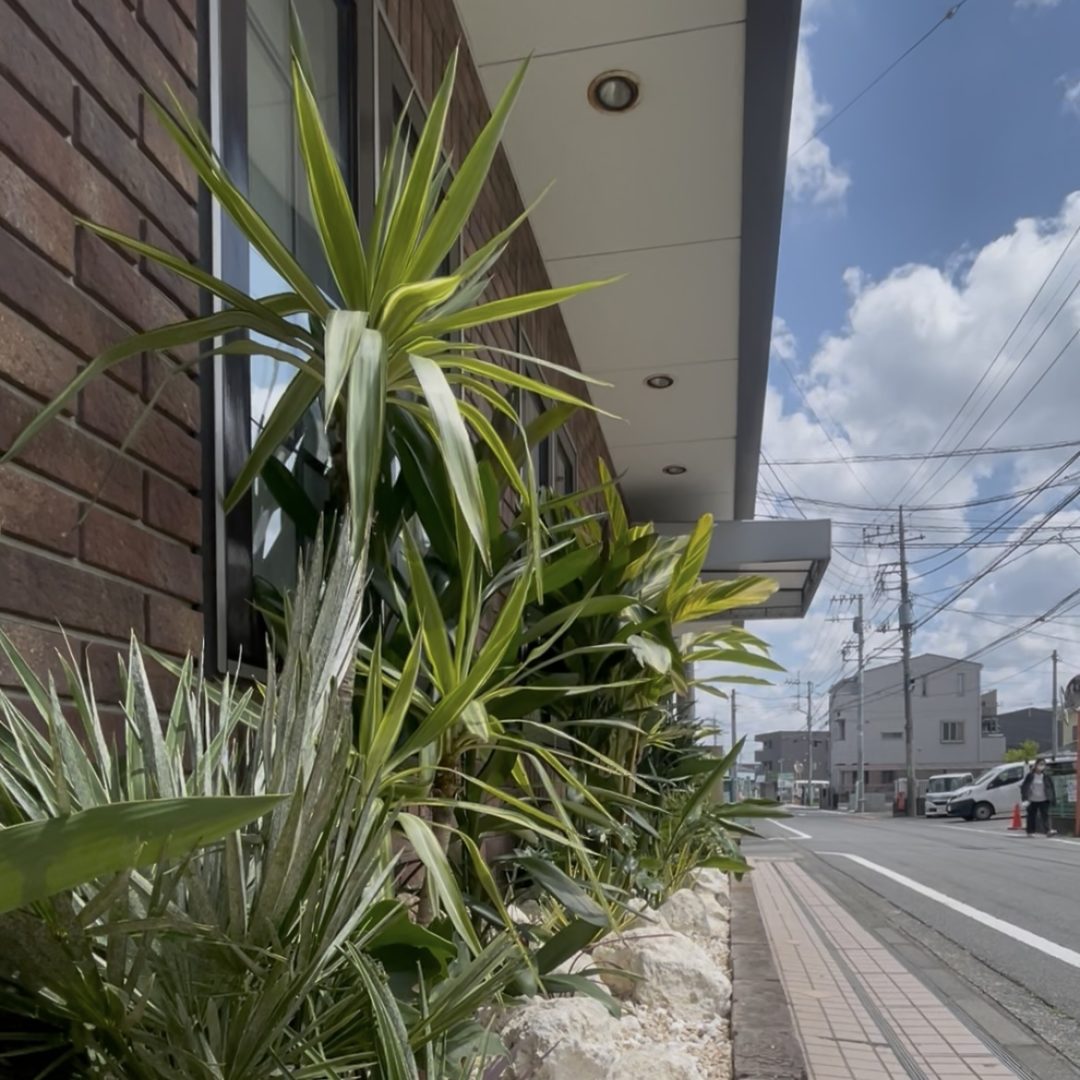 神奈川県厚木市 事務所屋外花壇 琉球石灰岩 砂利 リゾート 植栽