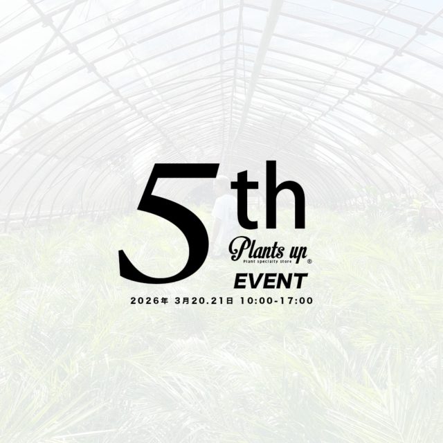厚木を盛り上げよう！
下川入発信の観葉植物専門店 Plants up「水やりお掃除係」の僕です！

Plants upは皆様のおかげで
2026年3月6日で5歳を迎えます。
おめでとうございます！
ありがとうございます！

これからも Plants upらしさを大切に素敵な植物や鉢に出会えるお店にしていきたいと思います✨

5周年を記念しまして、3月20日(祝金）21日（土）にイベントを行います。

詳細はまたインスタにてお知らせします！
お楽しみに！

5歳になります✨
気分上がりますね😎✌️

［info]
Plants up
観葉植物と鉢の専門店／厚木市下川入831-5
TEL 046-258-6409
［営］水木土10:00-17:00
［休］日月火金［駐］5台［¥］現金のみ

ナビでお越しの際は【厚木市下川入831-1】こちらでお願いします。

#plantsup
#水やりお掃除係 
#観葉植物
#5歳 
#あつぎ