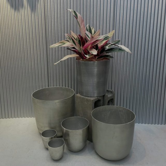 Plants upからこんにちは😊

とびっきり可愛くて格好良すぎるあの子、入荷しました🚀

▶︎カラテア ストラマンテ・サンギネア トリオスター

無機質な雰囲気の鉢に合わせてみても存在感抜群です❗️

ぜひ自分だけの一株、一鉢を探してみてください🪴

[info]
Plants up
観葉植物と鉢の専門店 / 厚木市下川入831-5
TEL 046-258-6409
[営] 水木土10:00-17:00
[休] 日月火金［駐］5台［¥］現金のみ

ナビでお越しの際は【厚木市下川入831-1】こちらでお願いします

#plantsup 
#観葉植物
#カラテア