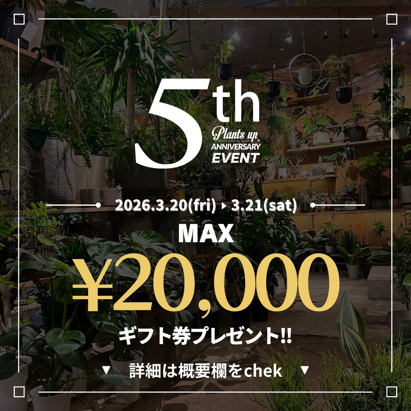 .
✌️😎 5th Anniversary Event 😎✌️

Plants upは
3月6日で【5歳】になります✨

3月20日（祝金）・21日（土）
✨2日間限定で✨

🎉 ハズレなしのくじ引き開催 🎉

対象：
＼ 555円以上お買い上げの方 ／

🎁 20,000円までの植物が選べる券
🎁 5,000円までの植物が選べる券
🎁 1,000円までの植物が選べる券
🎁 オリジナルキーホルダー ほか

さらに…
次回から使えるOFFチケットもご用意しています💫

5年分の感謝を込めて😎✌️

いつも来てくださる方も
お久しぶりの方も
はじめましての方も

ぜひぜひワクワクしに来てください✨

いつもありがとうございます！
僕5歳になります！
気分上がりますね😎✌️

※くじ引きはお一人様1回限りとさせていただきます。
※植物が選べる券は換金不可・お釣りは出ません。

[info]
Plants up®︎
観葉植物と鉢の専門店／厚木市下川入 831-5
TEL 046-258-6409
［営］水木土10:00-17:00
［休］日月火金［駐］5台［¥］現金のみ
ナビでお越しの際は【厚木市下川入831-1】こちらでお願いします。
#plantsup
#水やりお掃除係
#観葉植物
#5歳
#厚木市