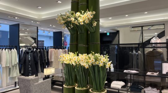 あけましておめでとうございます