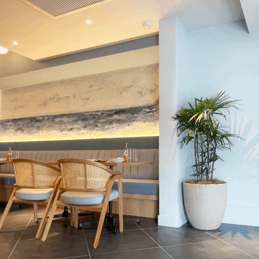 神奈川県逗子市 カフェレストラン 観葉植物レンタル シュロチク ヤシ 店舗の雰囲気に合わせてご提案