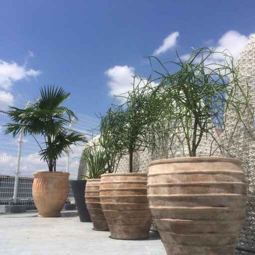 神奈川県　テラコッタプランター屋上緑化